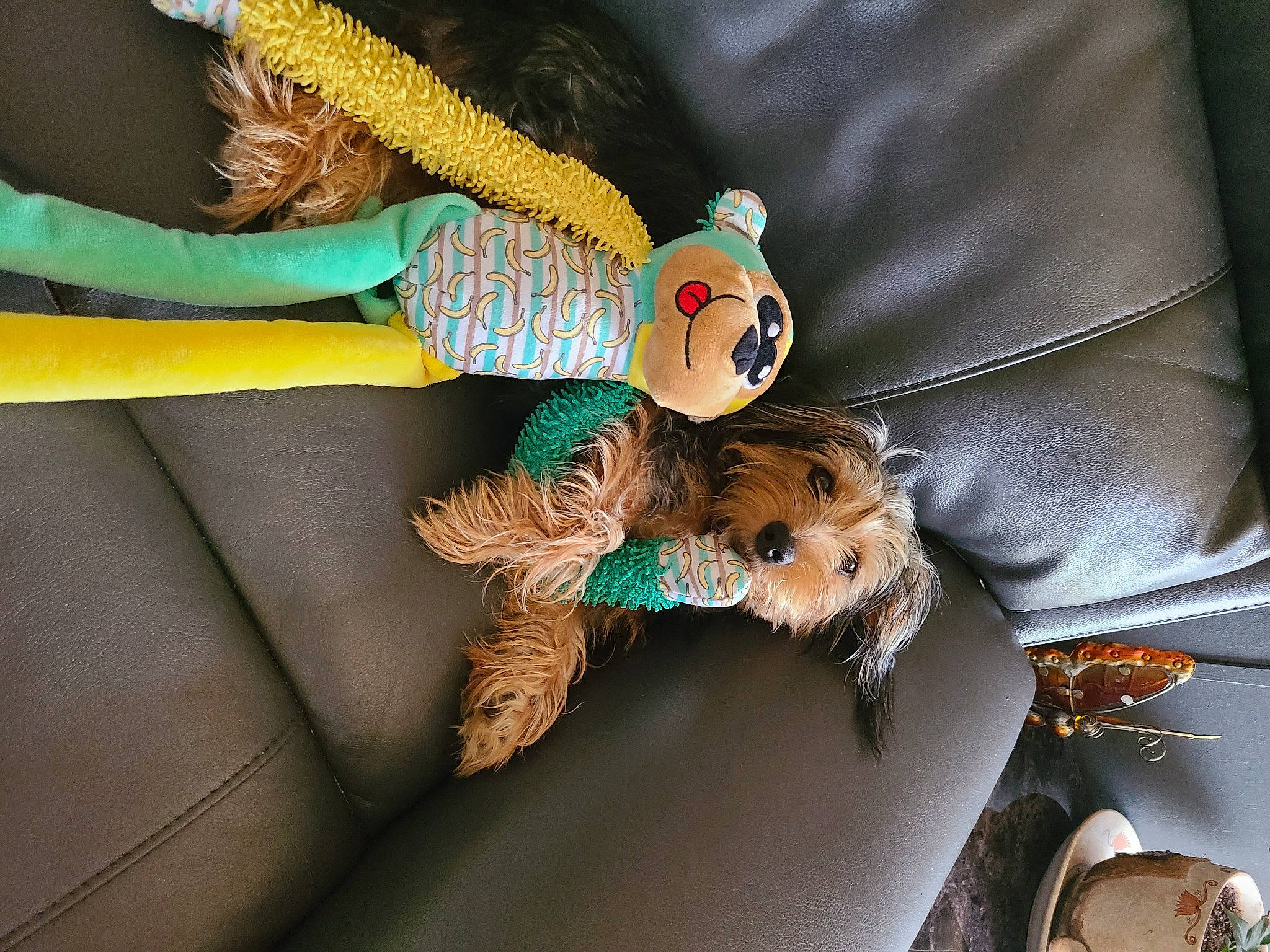 Marli is registered to the contest to win money with this photo: art, doll, fashion_accessory, fashion_design, fawn, fur, jewellery, plush, sleeve, stuffed_toy, textile, thread, toy, wood, woolen, wrist