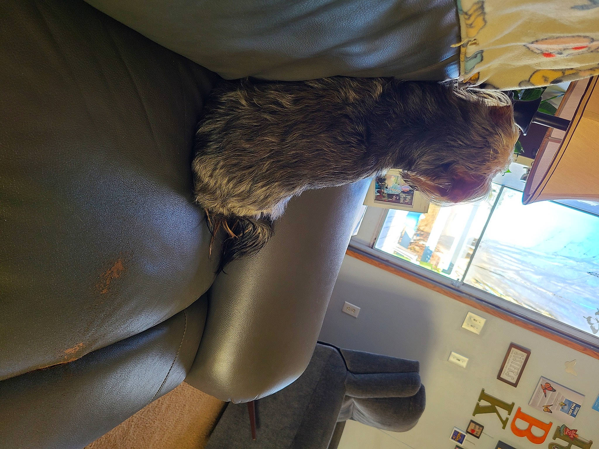 Marli is registered to the contest to win money with this photo: air_travel, auto_part, boat, car_seat, car_seat_cover, comfort, elbow, fur, human_leg, metal, room, thigh, vehicle_door, water, window