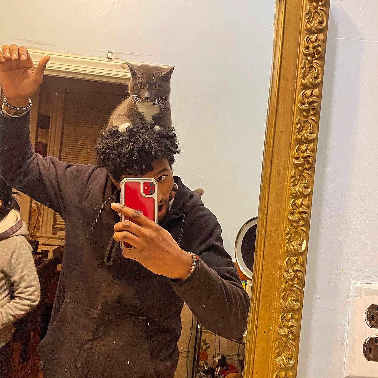 Spyro joined the competition — help win amazing prizes! man, cat, mirror, selfie, phone, hoodie, curly_hair, gray_cat, indoor, person, reflection, hand, bracelet, room, wall, ornate_frame, furniture, casual_clothing, photography, curious_cat
