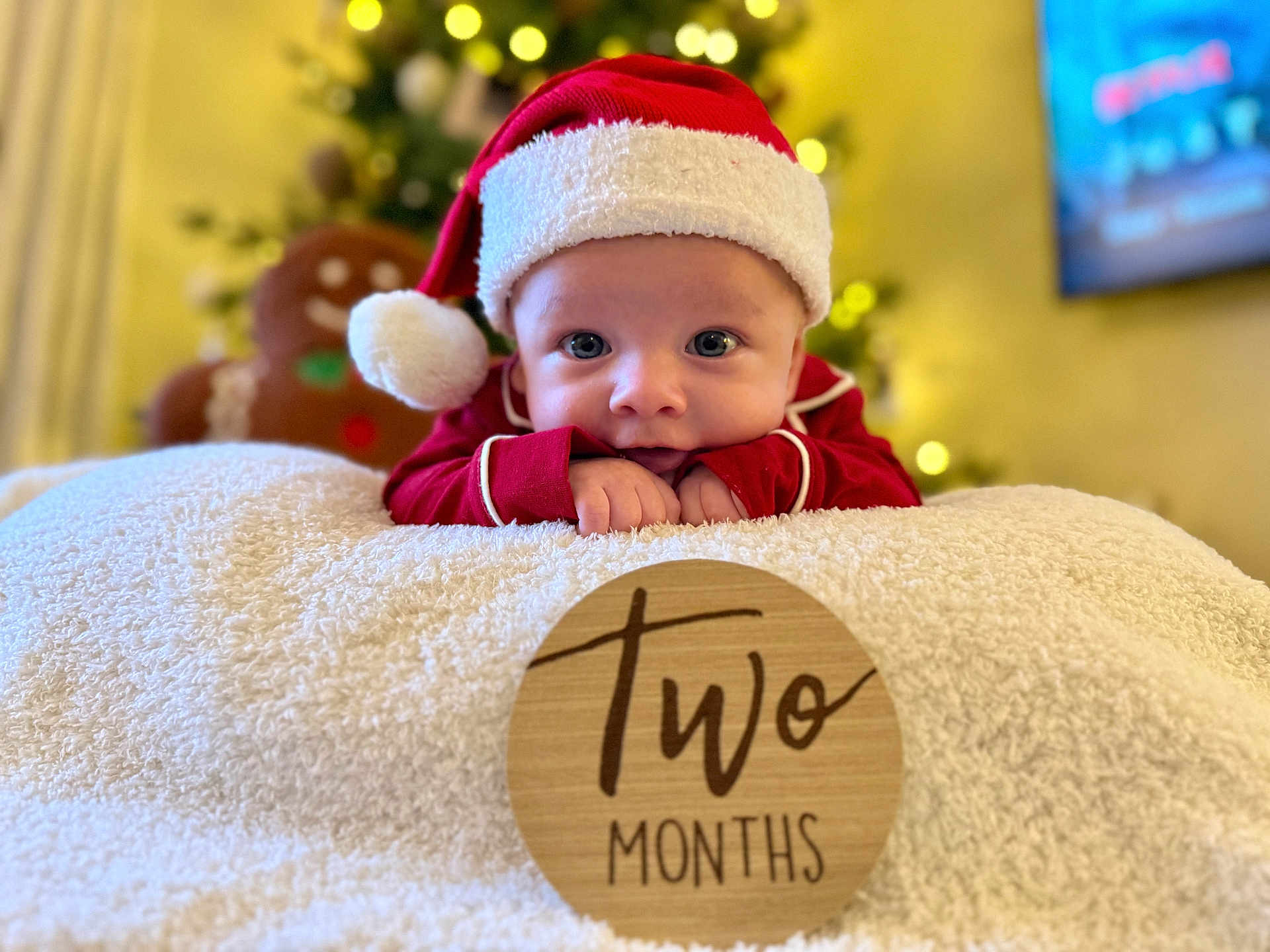 Landon is registered to the contest to win money with this photo: baby, infant, christmas, holiday, santa_hat, red_clothing, blanket, wooden_sign, two_months, decorations, gingerbread_man, christmas_tree, indoors, portrait, cute, smiling, festive, holiday_decor, child, person