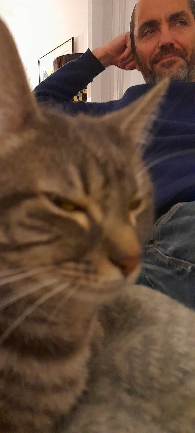 Yoyo a rejoint le concours — aidez-le/la à gagner de superbes lots ! carnivore, cat, cloud, comfort, domestic_short_haired_cat, felidae, fur, nap, paw, sky, small_to_medium_sized_cats, snout, terrestrial_animal, whiskers, wood