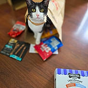 Dewey joined the competition — help win amazing prizes! animal, black_and_white_cat, cat, colorful_packages, dog_treats, food_packaging, front_facing, green_eyes, household, indoors, pet, photography, pointed_ears, portrait, short_hair, sitting, snacks, treat_inspector, whiskers, wooden_floor