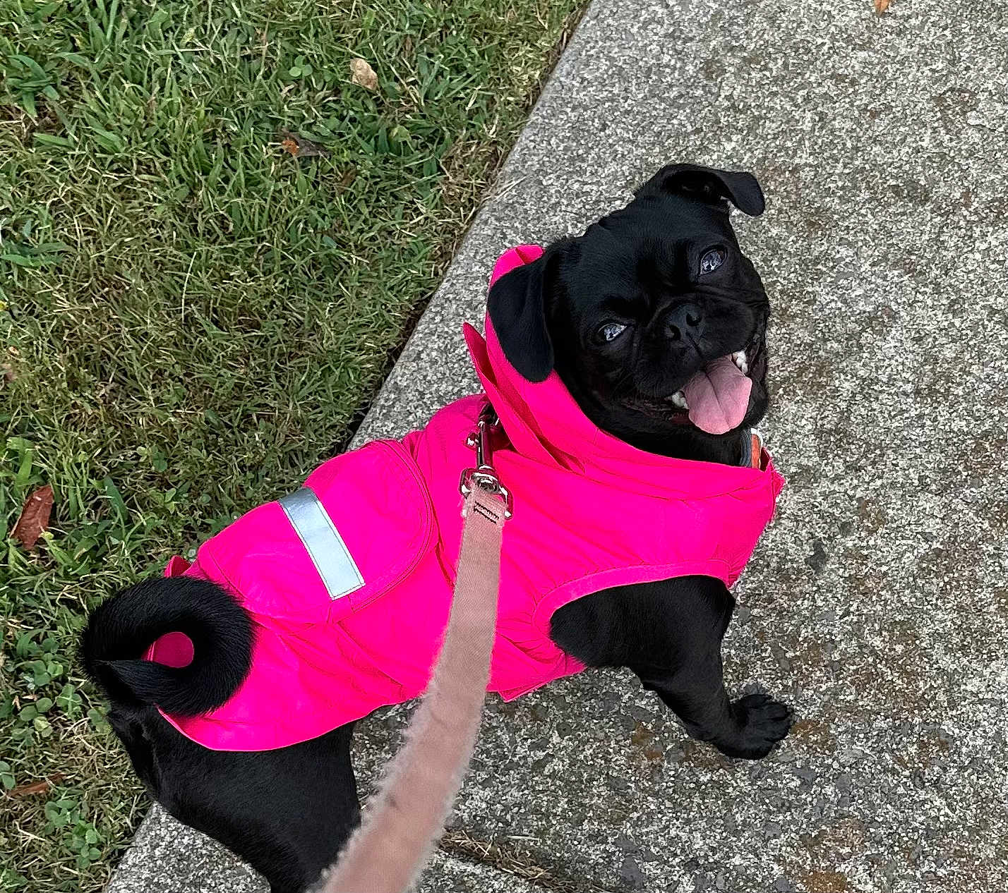 Roxy