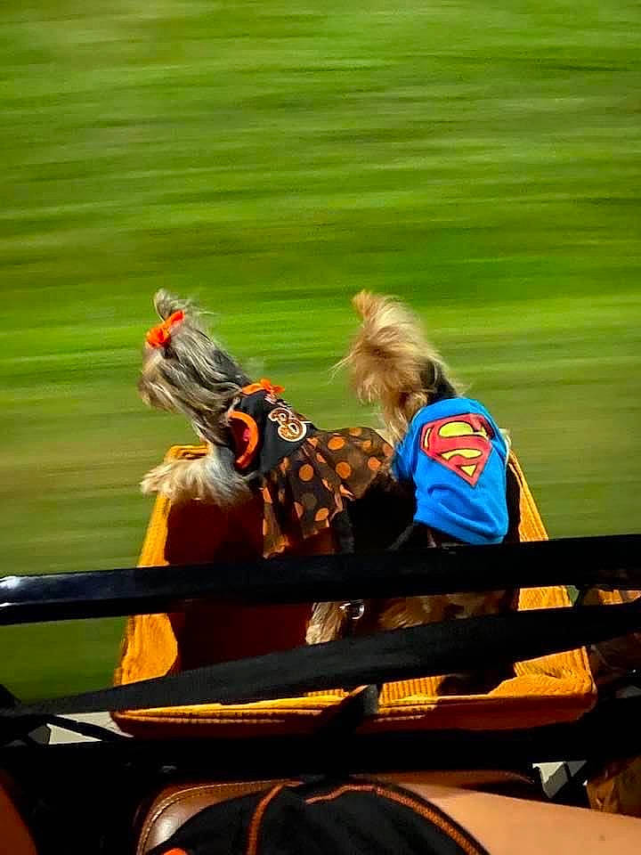 Boudreaux is registered to the contest to win money with this photo: vehicle