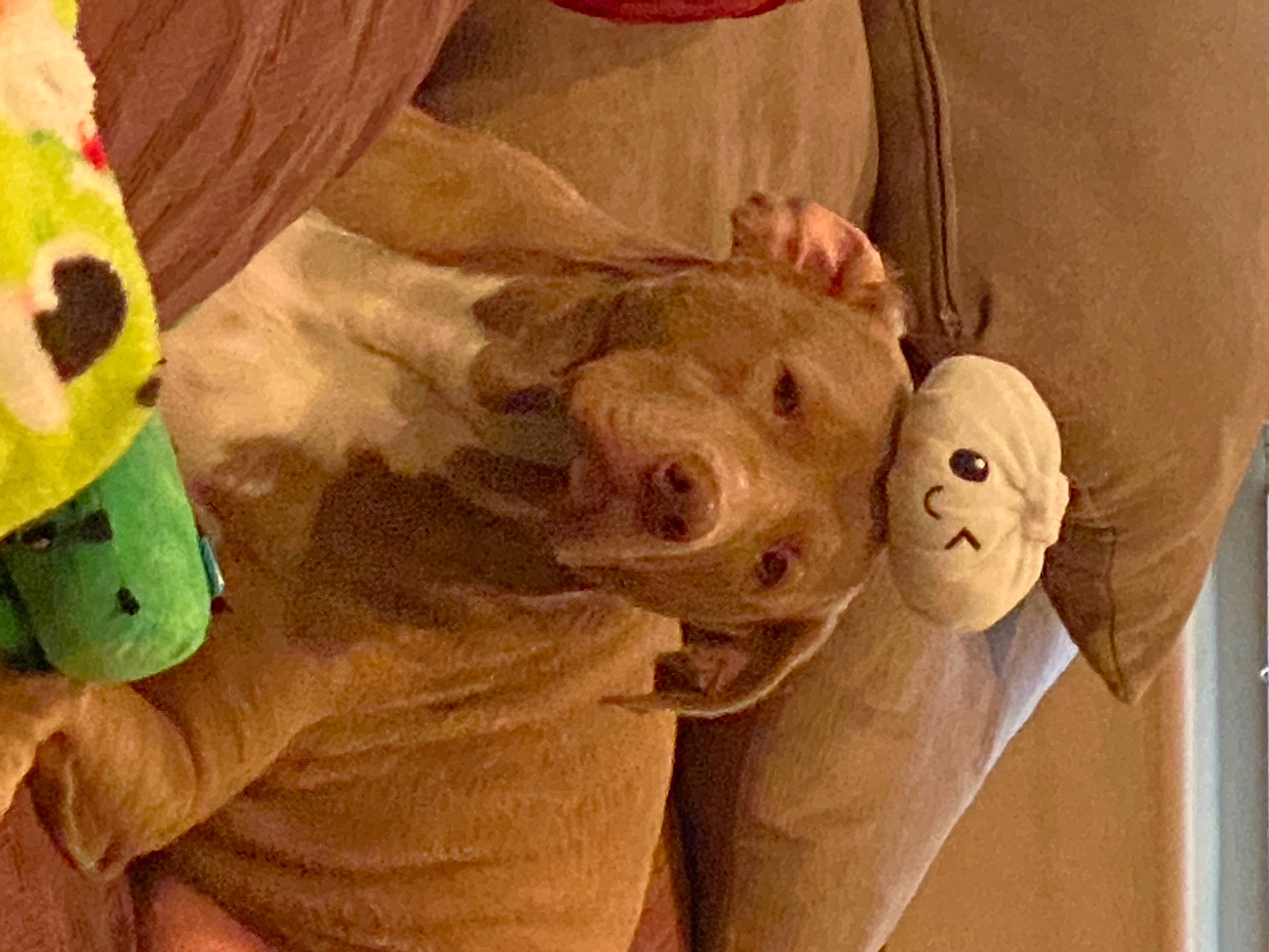 Elsa is registered to the contest to win money with this photo: art, baby, baby_toys, child, fawn, fictional_character, fur, happy, linens, nose, painting, plush, room, selfie, stuffed_toy, textile, toy, vertebrate, visual_arts, wood