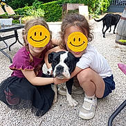 Altess participe au concours pour gagner de l'argent avec cette photo : child, children, dog, black_and_white_dog, outdoor, gravel, greenery, plants, furniture, table, chair, smiling_face_sticker, hugging, casual_clothing, sneakers, skirt, curly_hair, braids, pet, playing