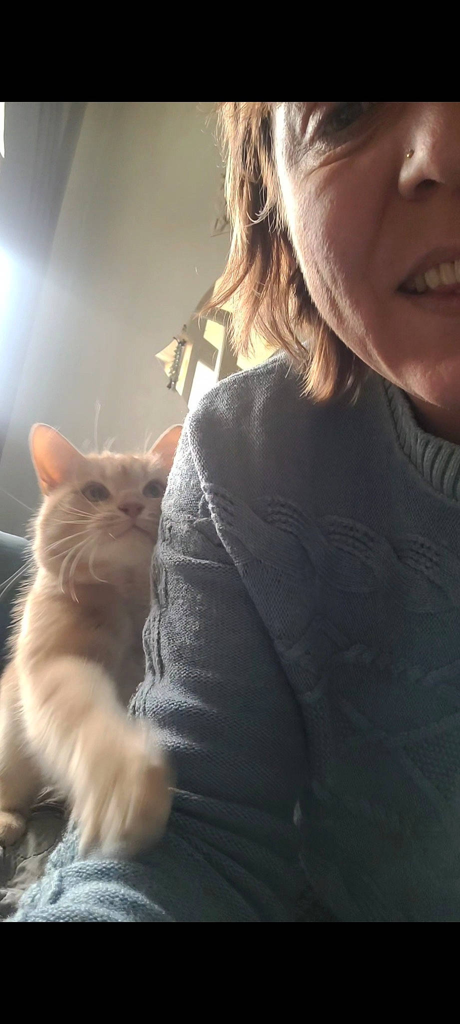 May participe au concours pour gagner de l'argent avec cette photo : blond, brown_hair, carnivore, cat, domestic_short_haired_cat, ear, eyelash, eyewear, fawn, felidae, fur, gesture, happy, jewellery, skin, small_to_medium_sized_cats, t_shirt, tail, vision_care, whiskers