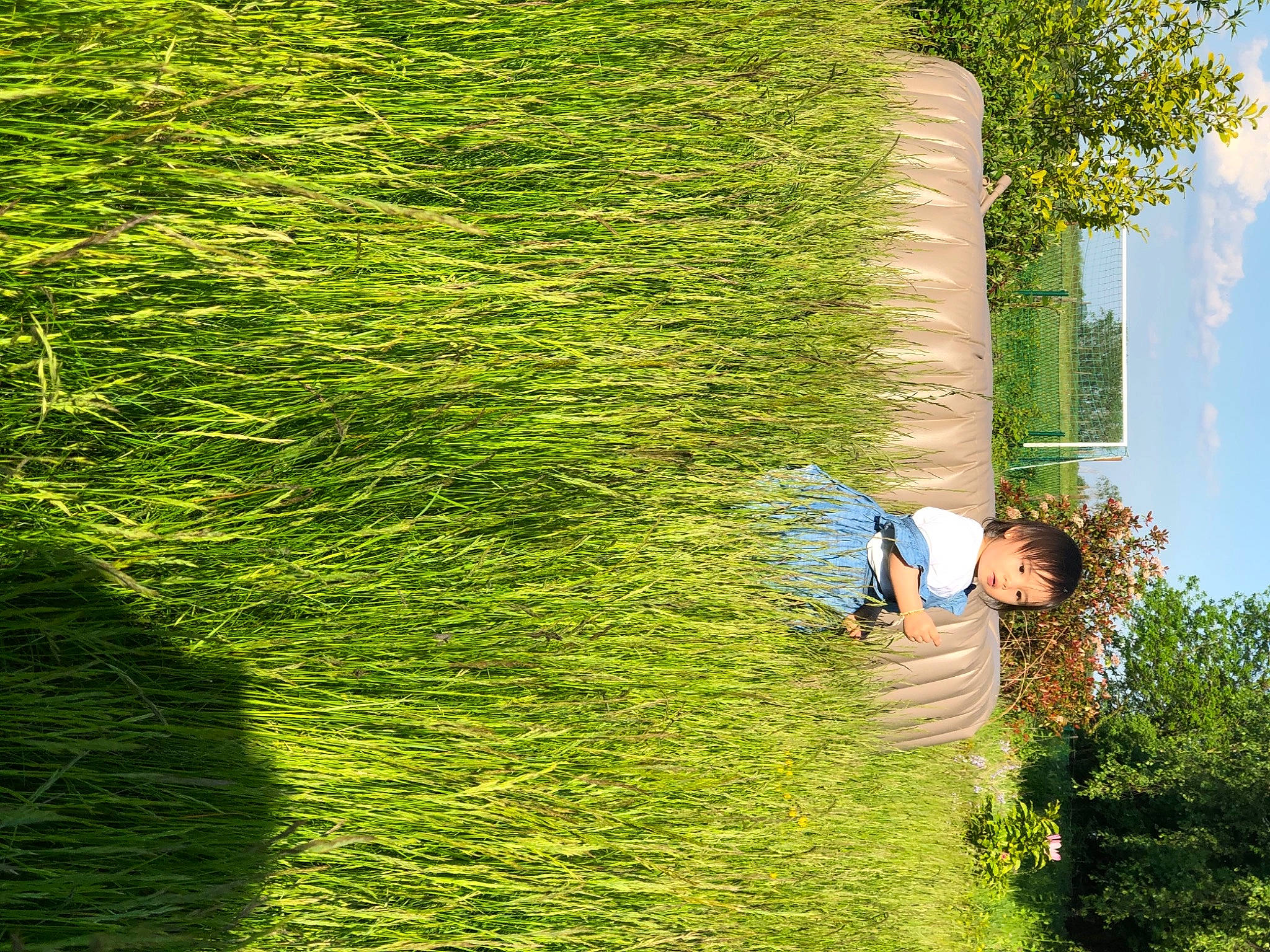 Nallïa a rejoint le concours — aidez-le/la à gagner de superbes lots ! cloud, evergreen, grass, grass_family, grassland, green, groundcover, hedge, landscape, lawn, leisure, natural_landscape, nature, people_in_nature, person, plant, shrub, sky, tree, trunk