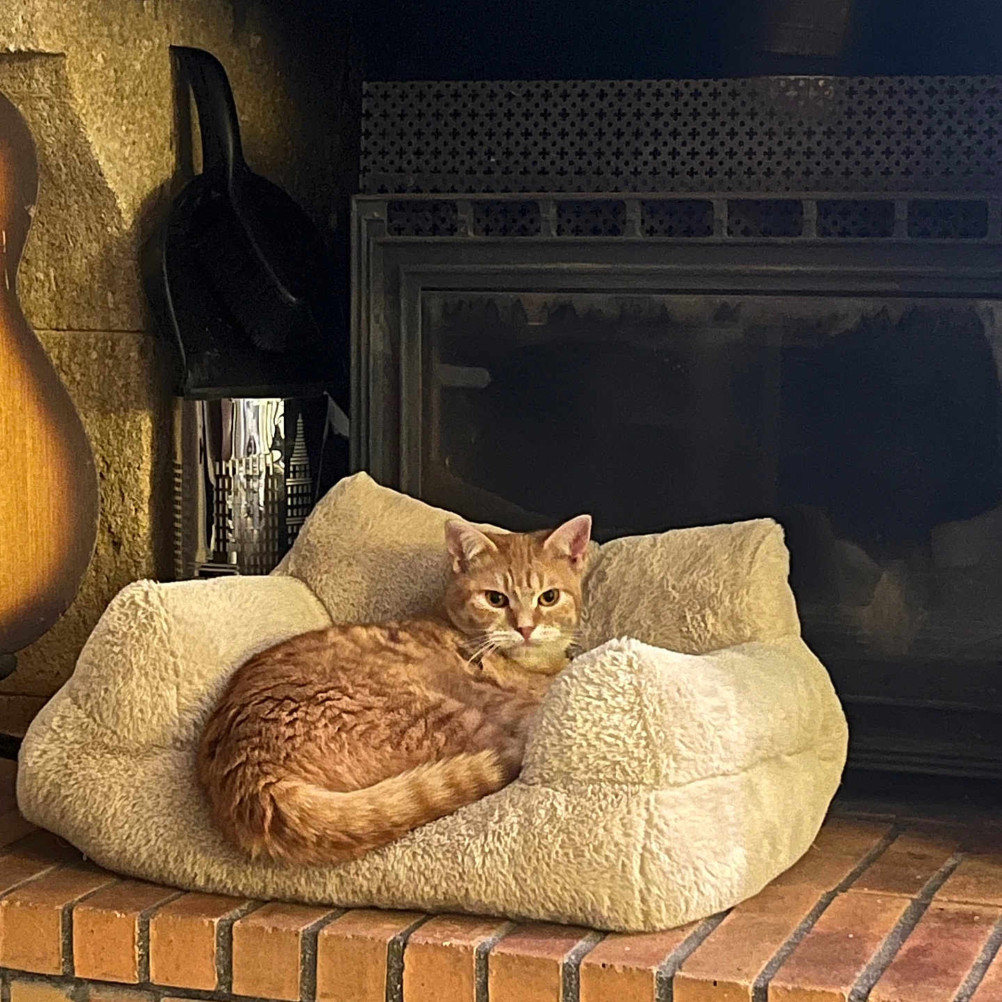Rookie participe au concours pour gagner de l'argent avec cette photo : animal, brick_hearth, cat, comfort, cozy, domestic_pet, ears, feline, fireplace, fur, home_interior, indoor, mammal, orange_tabby, pet_bed, plush_bed, relaxation, resting, tail, warm_lighting