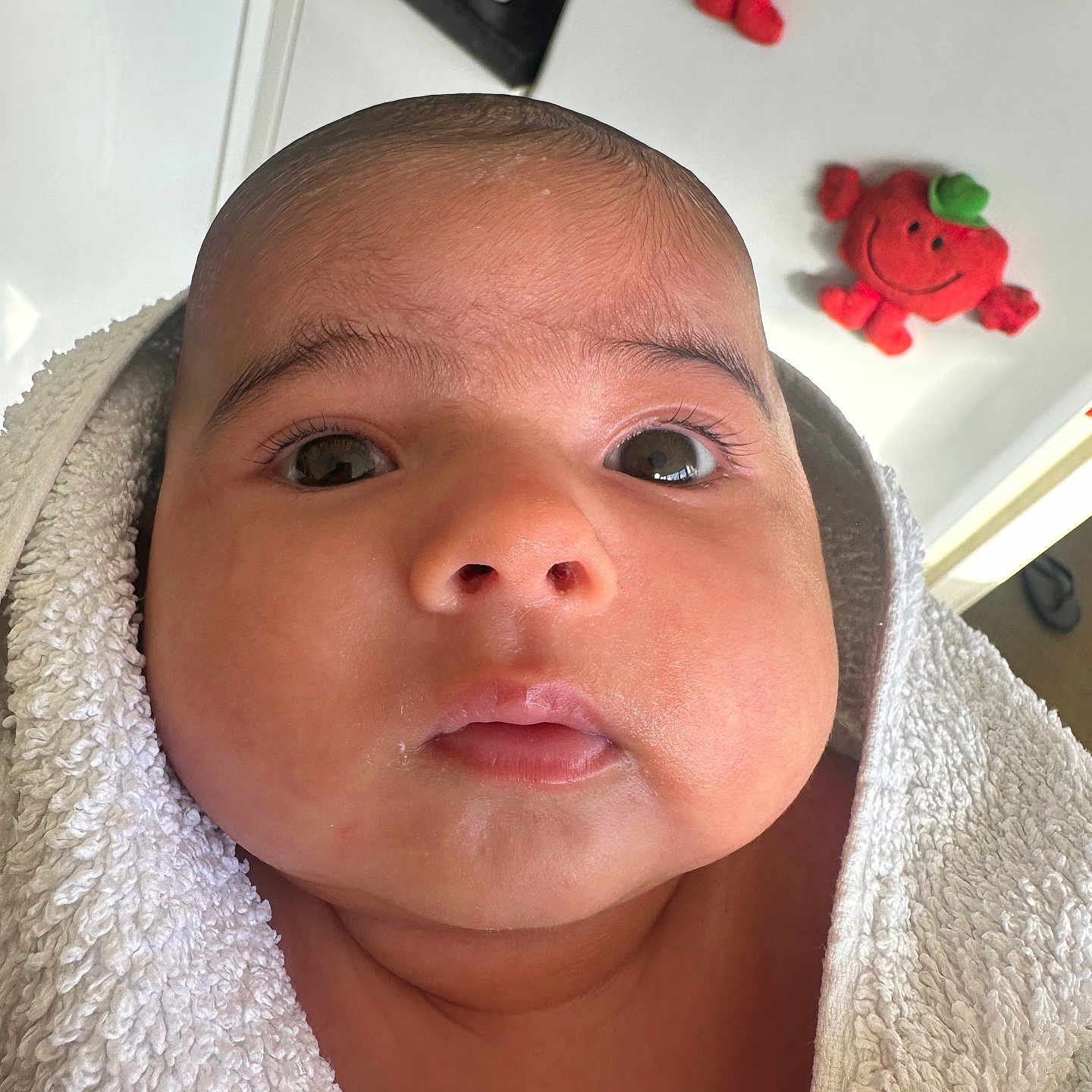 Xerxes is registered to the contest to win money with this photo: baby, background, child, close_up, cozy, cute, expression, face, indoors, infant, newborn, person, plush_toy, red, skin, smile, soft, towel, wide_eyes, wrapped