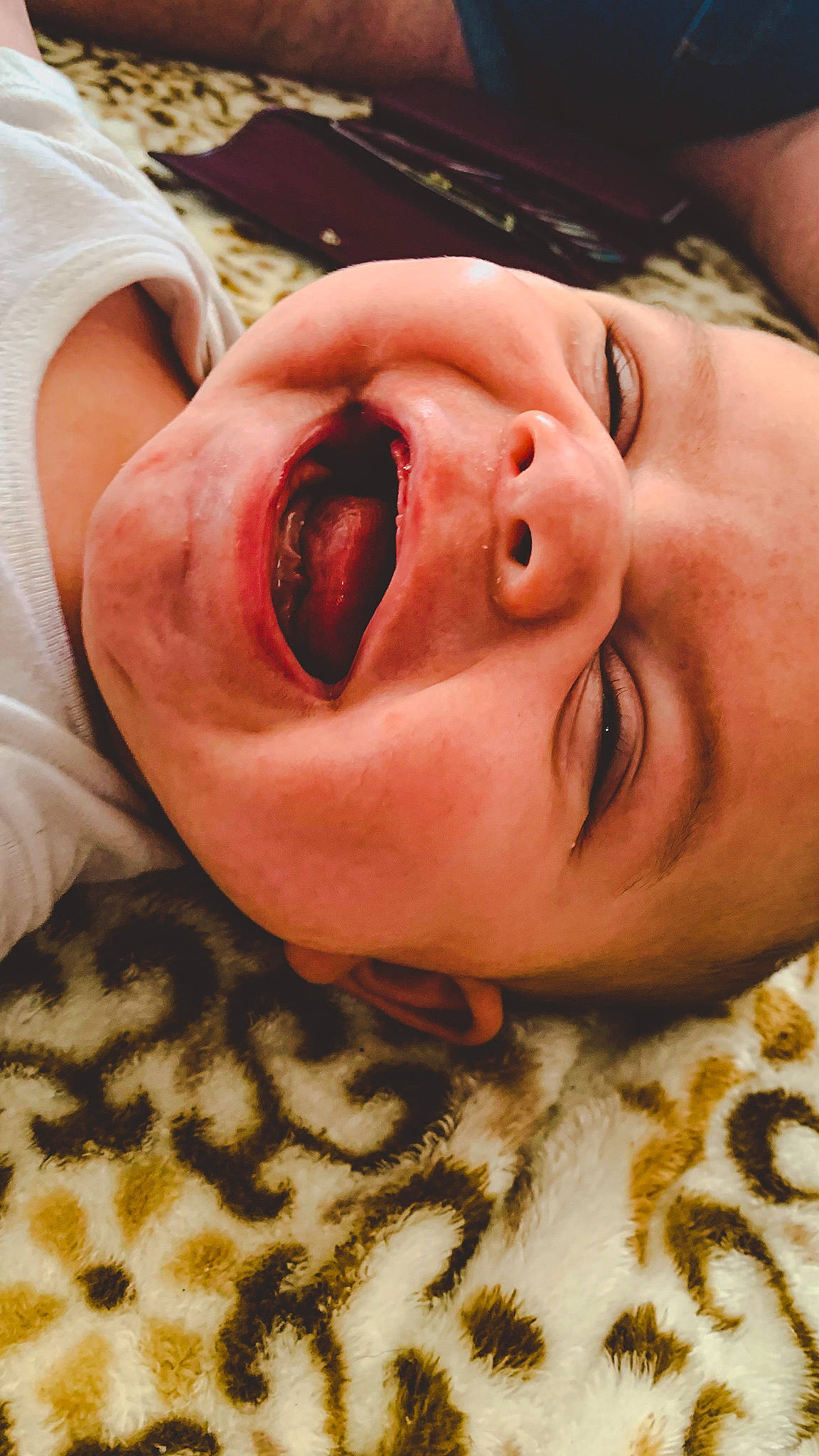 Bruce is registered to the contest to win money with this photo: baby, cheek, comfort, ear, eyelash, flesh, forehead, fun, happy, iris, jaw, lip, mouth, neck, nose, person, skin, smile, snout, throat