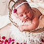 arm, baby, basket, closeup, cozy, cute, decor, flower_petal, headband, indoor, infant, newborn, peaceful, pink, portrait, rest, skin, sleeping, soft_fabric, wooden_floor