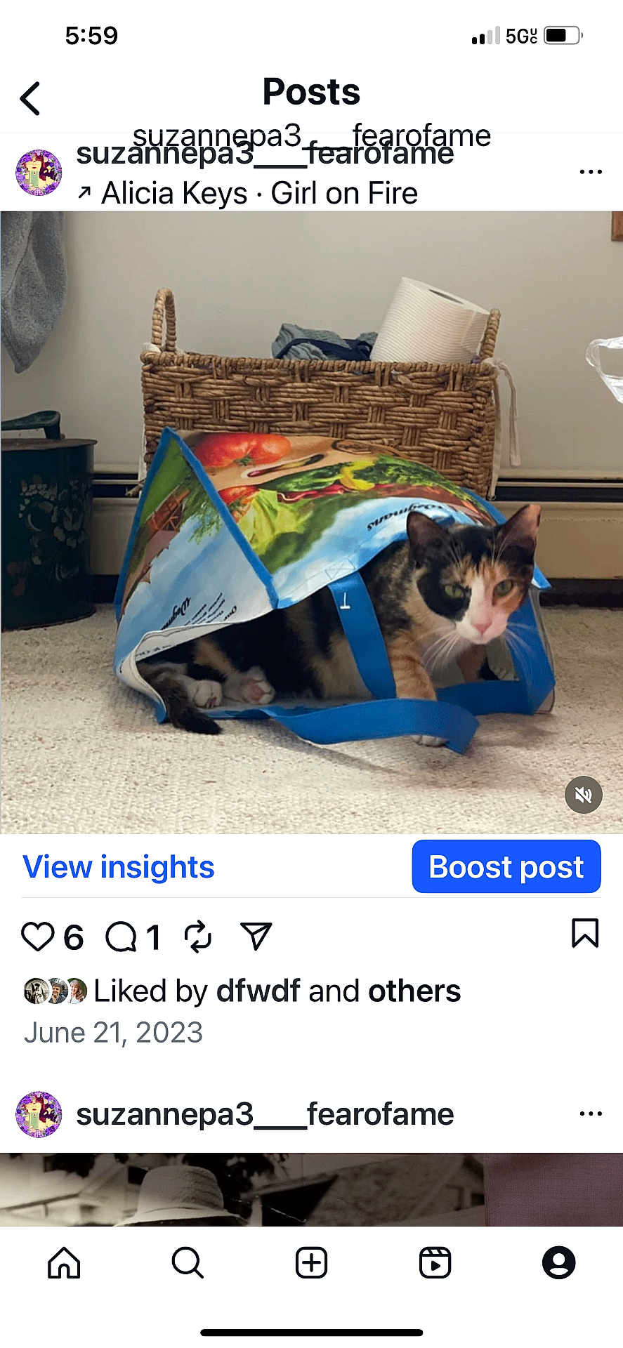 Quinn joined the competition — help win amazing prizes! cat, calico_cat, shopping_bag, carpet, woven_basket, paper_towel, indoor, pet, curious, peeking, household, floor, blue_handles, colorful_bag, domestic_cat, feline, animal, cozy, room, curiosity