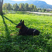 Princesse participe au concours pour gagner de l'argent avec cette photo :