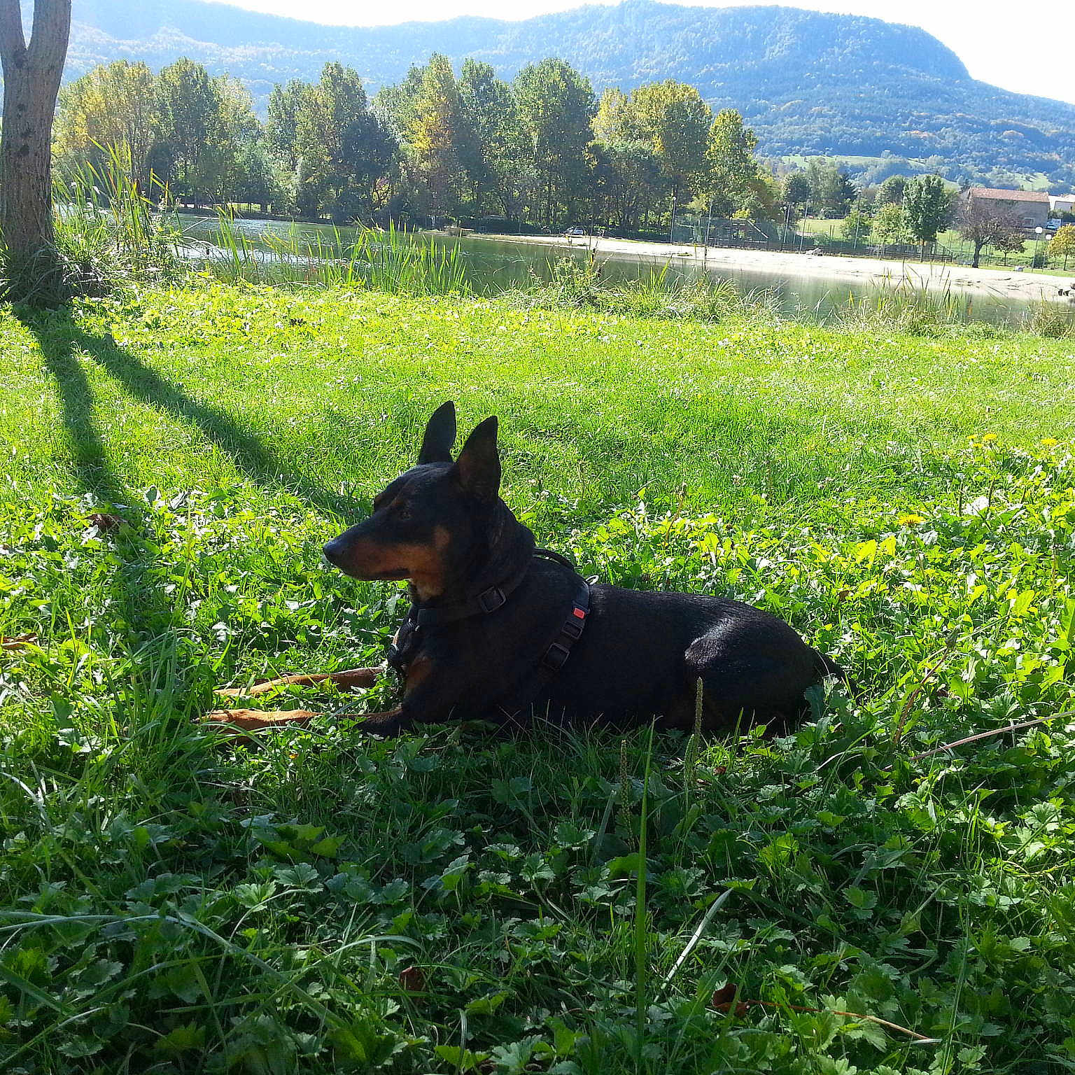 Princesse