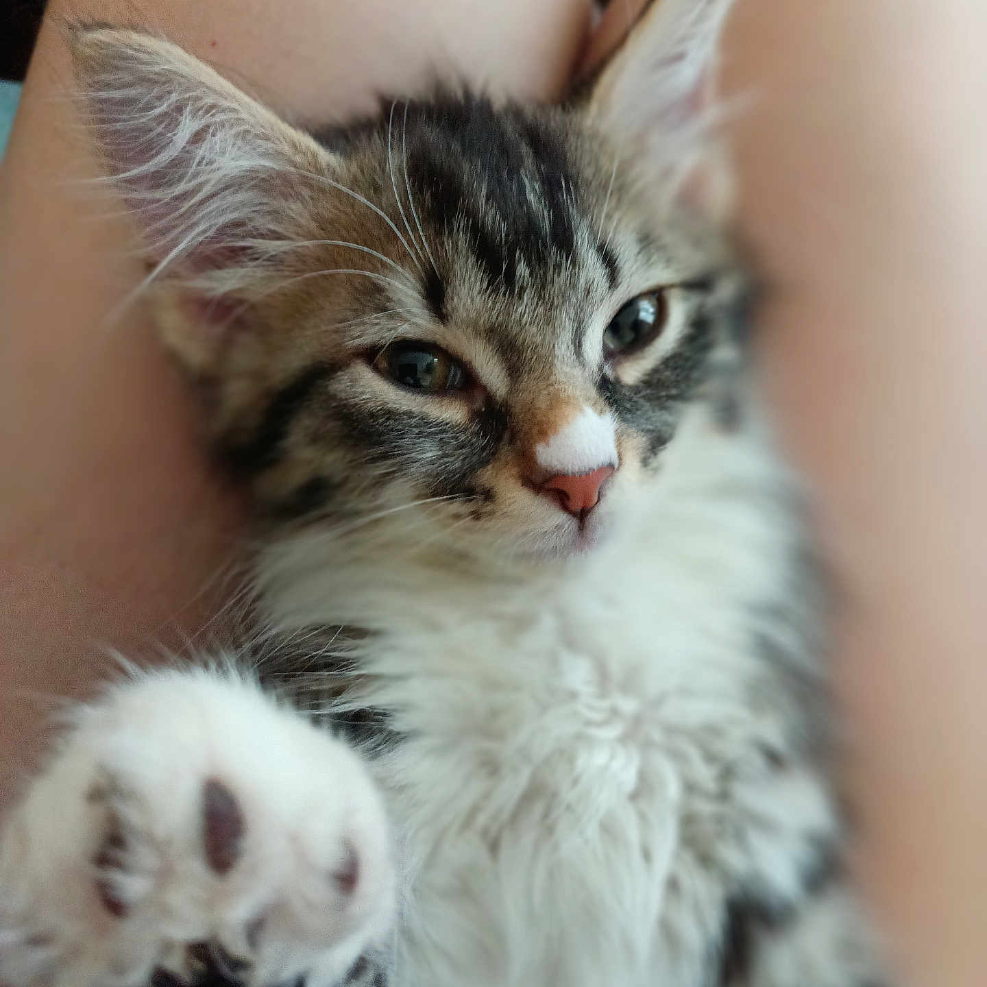 Winnie