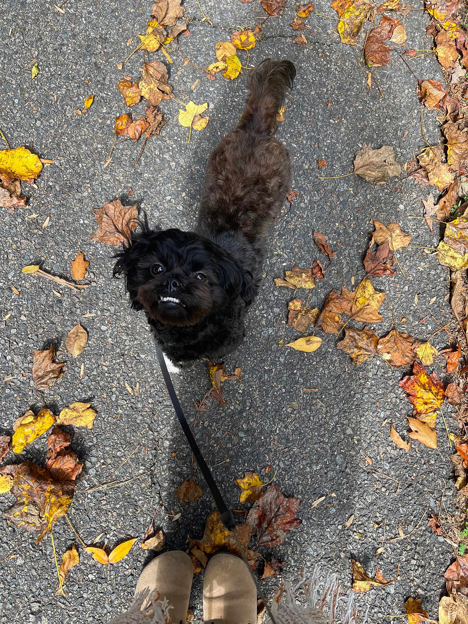 Pepper