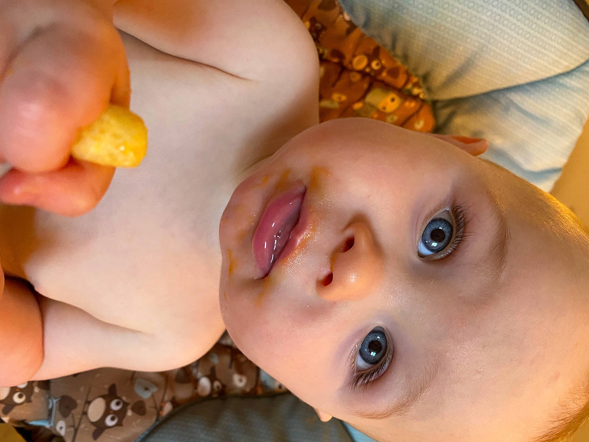 Kaysen is registered to the contest to win money with this photo: cheek, chin, ear, eye, eyebrow, eyelash, forehead, hair, hand, head, human_body, lip, mouth, muscle, neck, nose, orange, person, plant, skin