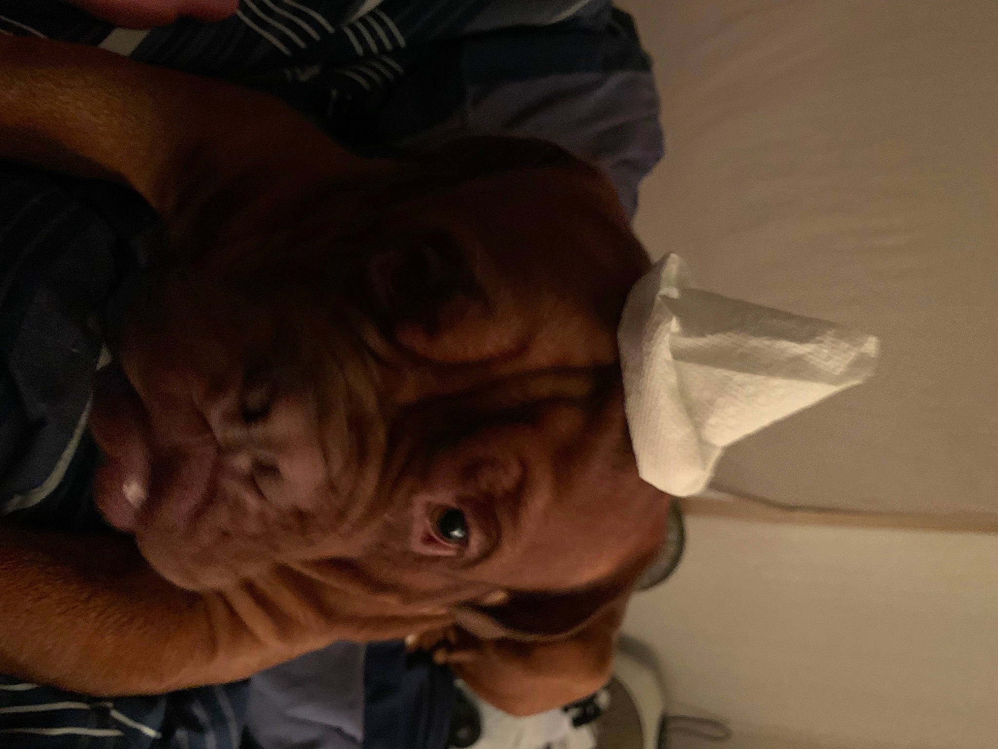 Cujo is registered to the contest to win money with this photo: chest, child, ear, elbow, eyewear, finger, flesh, fun, gesture, hair_coloring, happy, jaw, nose, smile, sporting_group, sunglasses, thumb, toddler, tree, wrinkle