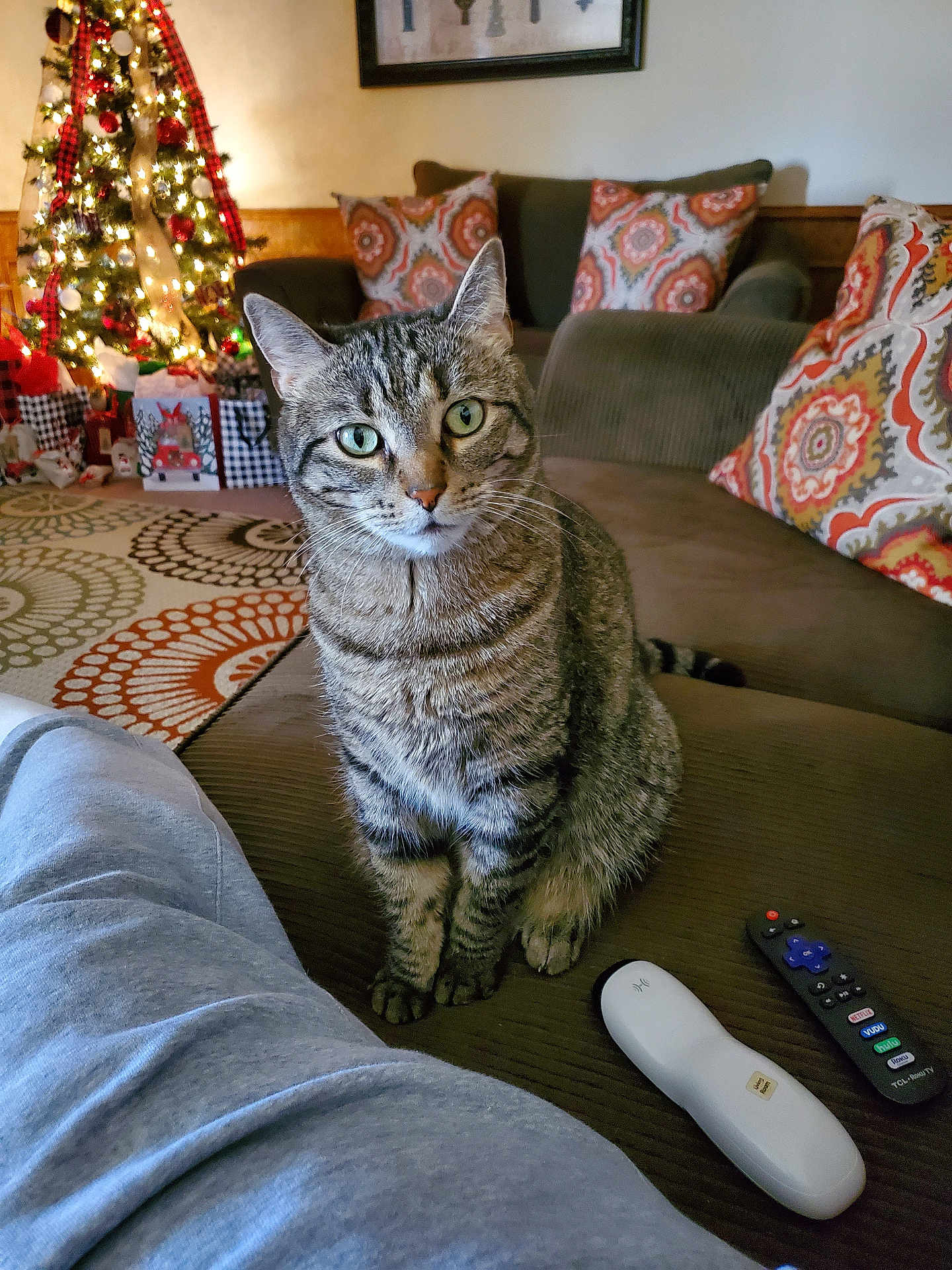 Gizmo