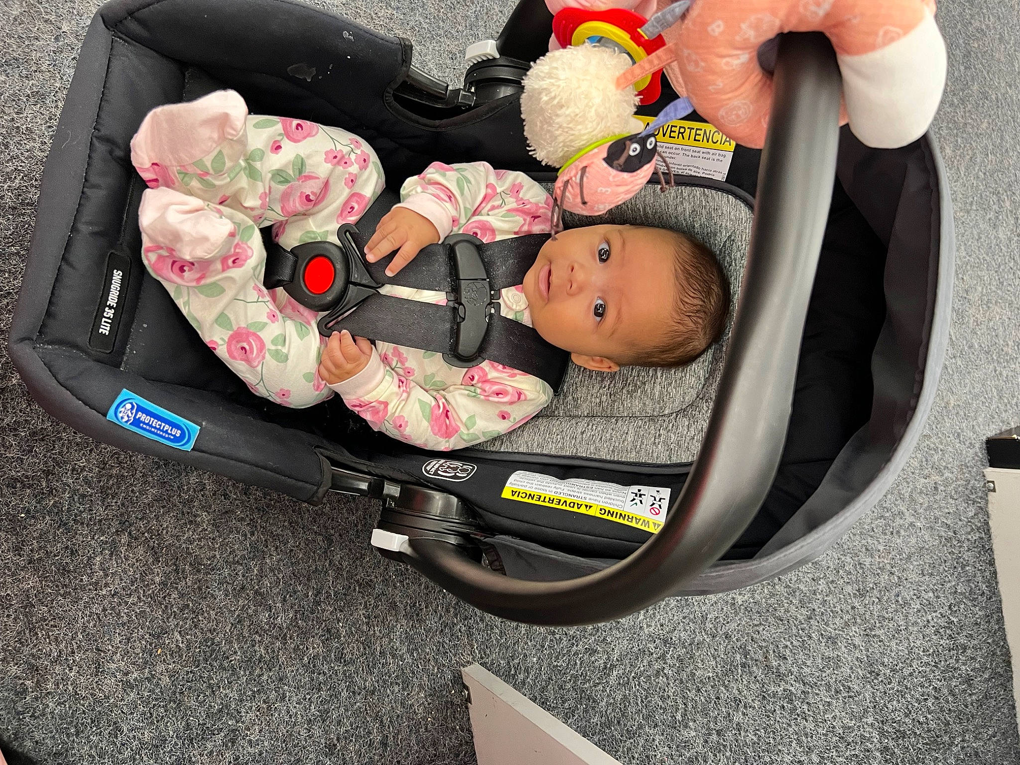 Dream is registered to the contest to win money with this photo: auto_part, baby, baby_carriage, baby_in_car_seat, baby_products, baby_safety, baby_sleeping, baby_toddler_clothing, baby_toys, bag, baggage, car_seat, child, comfort, fashion_accessory, infant_bed, luggage_and_bags, person, personal_protective_equipment, service