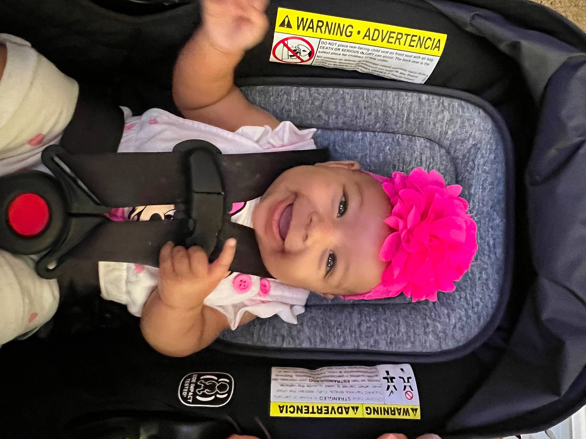Dream is registered to the contest to win money with this photo: auto_part, automotive_exterior, automotive_tire, baby, baby_carriage, baby_in_car_seat, baby_products, baby_toddler_clothing, bumper, car_seat, cheek, child, comfort, fashion_accessory, hat, headwear, joy, motor_vehicle, person, plant