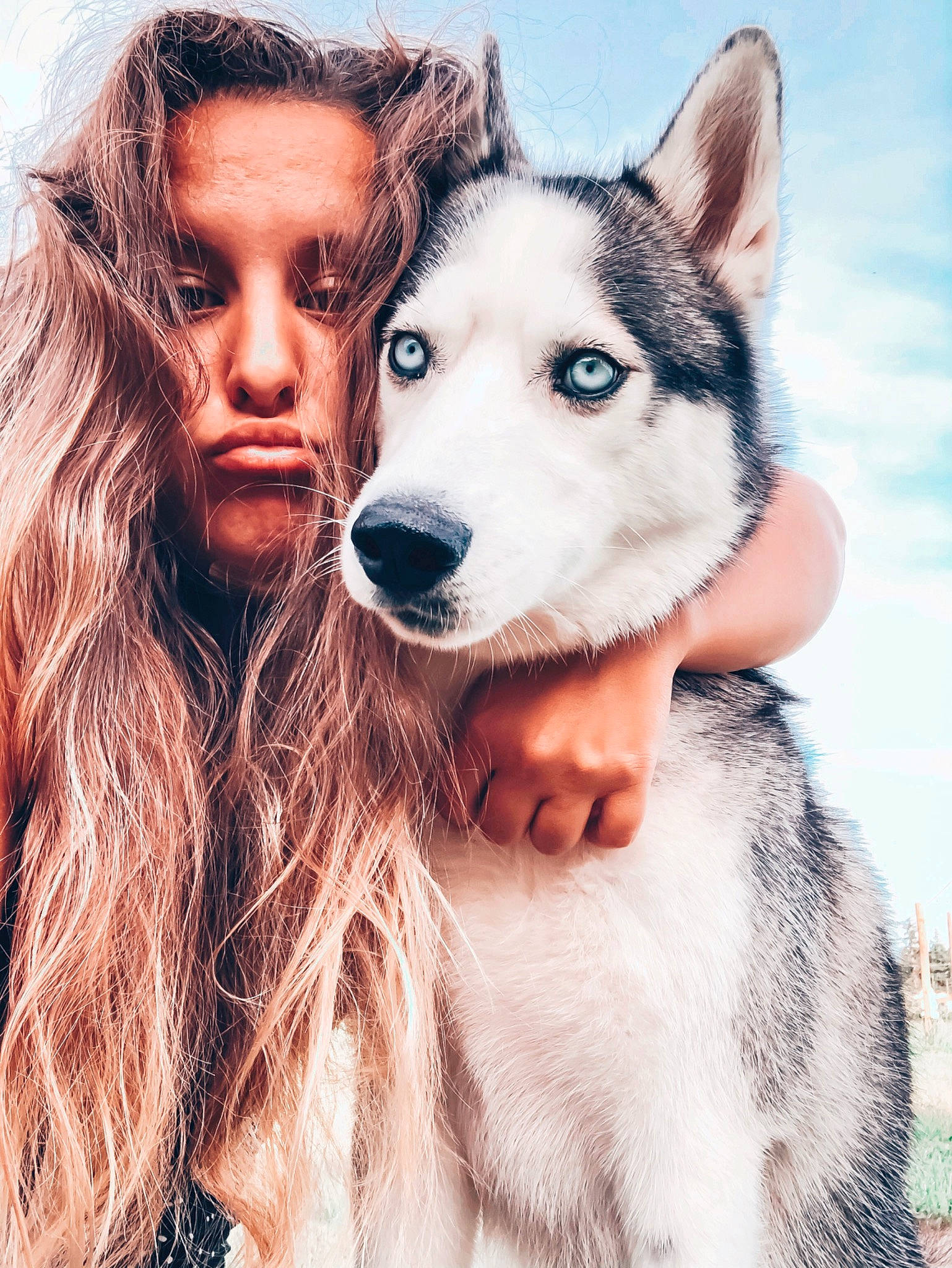 Meïko a rejoint le concours — aidez-le/la à gagner de superbes lots ! alaskan_malamute, canadian_eskimo_dog, canidae, carnivore, czechoslovakian_wolfdog, dog, dog_breed, eye, fur, kunming_wolfdog, native_american_indian_dog, northern_inuit_dog, nose, sakhalin_husky, seppala_siberian_sleddog, siberian_husky, sled_dog, snout, west_siberian_laika, wolfdog