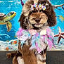 animal, bow, brown_fur, carpet, colorful, cute, decorative, dog, feather_boa, fish, fluffy, groomed, indoor, leash, ocean_backdrop, pet, poodle, portrait, sea_turtle, starfish