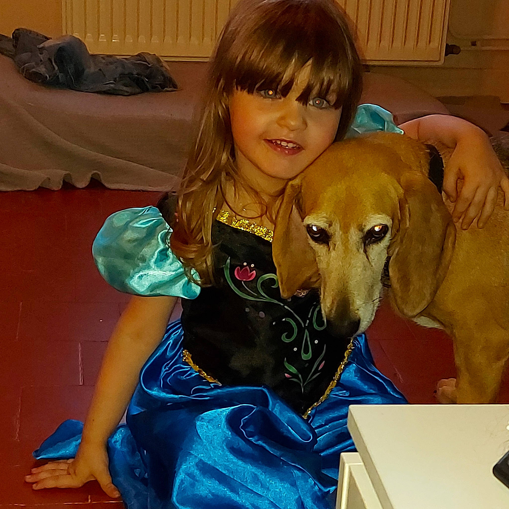 Sylla participe au concours pour gagner de l'argent avec cette photo : bangs, blond, brown_hair, canidae, carnivore, collar, companion_dog, dog, dog_breed, fawn, human, iris, person, pet_supply, sitting, sporting_group, working_animal