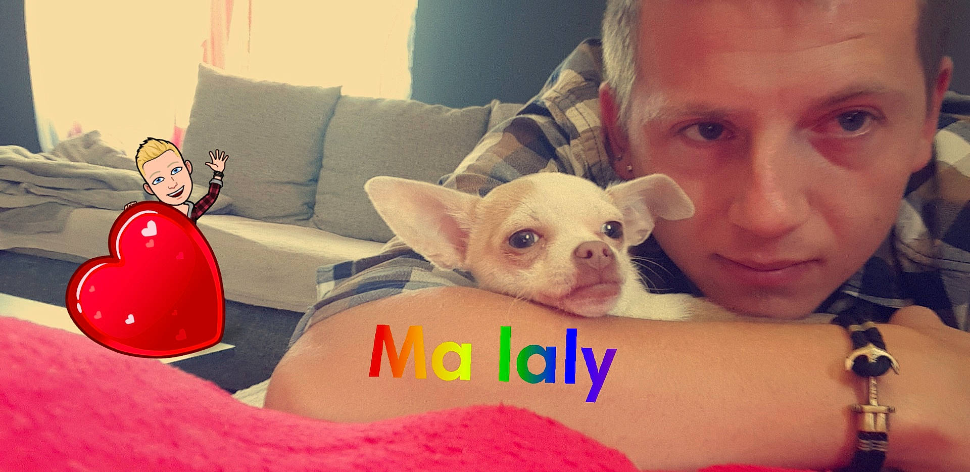 Laly participe au concours pour gagner de l'argent avec cette photo : canidae, carnivore, chihuahua, companion_dog, dog, dog_breed, ear, fawn, french_bulldog, head, mammal, mouth, nose, photo_caption, photography, puppy, puppy_love, skin, snout, toy_dog