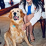 blinds, blue_shirt, carpet, chair, dog, flowers, furniture, golden_retriever, happy, home, indoors, long_hair, person, pet, portrait, sitting, smiling, white_coat, window, woman