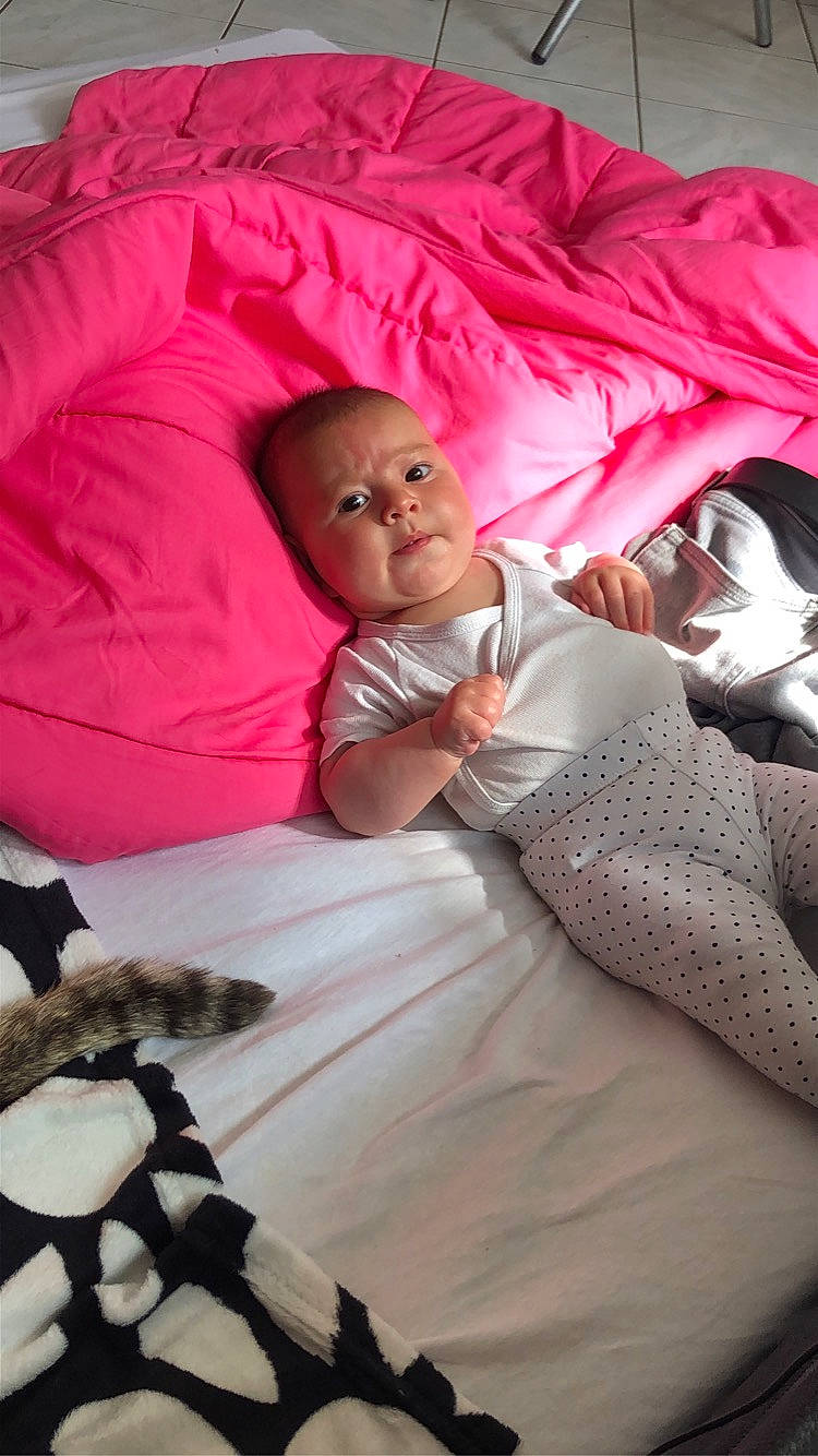 Céleste a rejoint le concours — aidez-le/la à gagner de superbes lots ! bed, bed_sheet, bedding, child, comfort, companion_dog, fun, human_leg, linens, magenta, mammal, mouth, person, pillow, pink, product, room, sitting, textile, throw_pillow