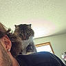 Katie joined the competition — help win amazing prizes! cat, tabby_cat, person, ear, earring, hair, shoulder, indoor, window, ceiling, light, curious, pet, feline, closeup, portrait, casual, home, animal, candid