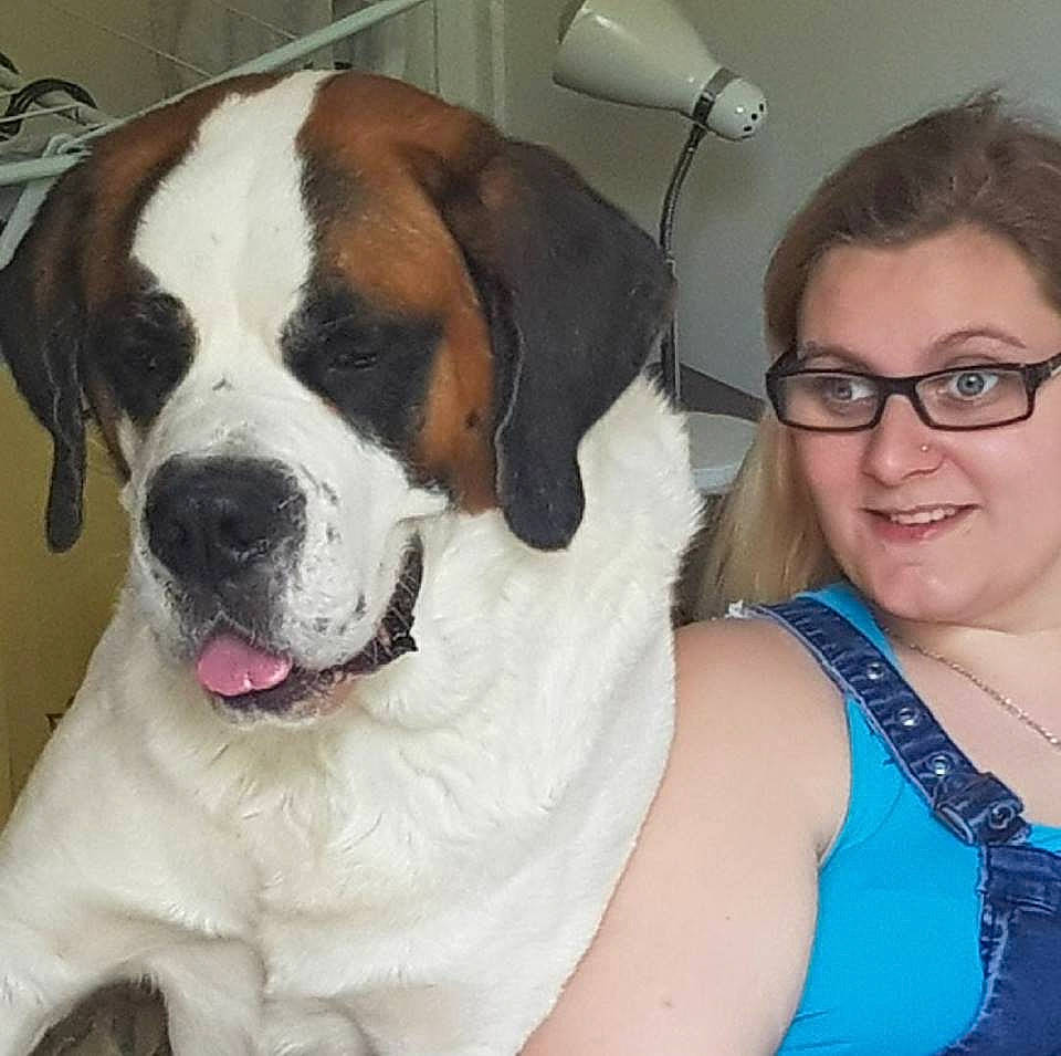 Inouk a rejoint le concours — aidez-le/la à gagner de superbes lots ! american_bulldog, canidae, carnivore, companion_dog, dog, dog_breed, fawn, giant_dog_breed, head, joy, mammal, moscow_watchdog, nose, person, puppy_love, rare_breed_dog, snout, sporting_group, st_bernard, valley_bulldog