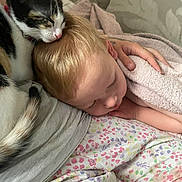 Lulu joined the competition — help win amazing prizes! cat, kitten, child, sleeping, blanket, calico, nap, cozy, couch, hand, pastel_colors, patterned_fabric, indoor, closeup, rest, pet, animal, cute, friendship, comfort