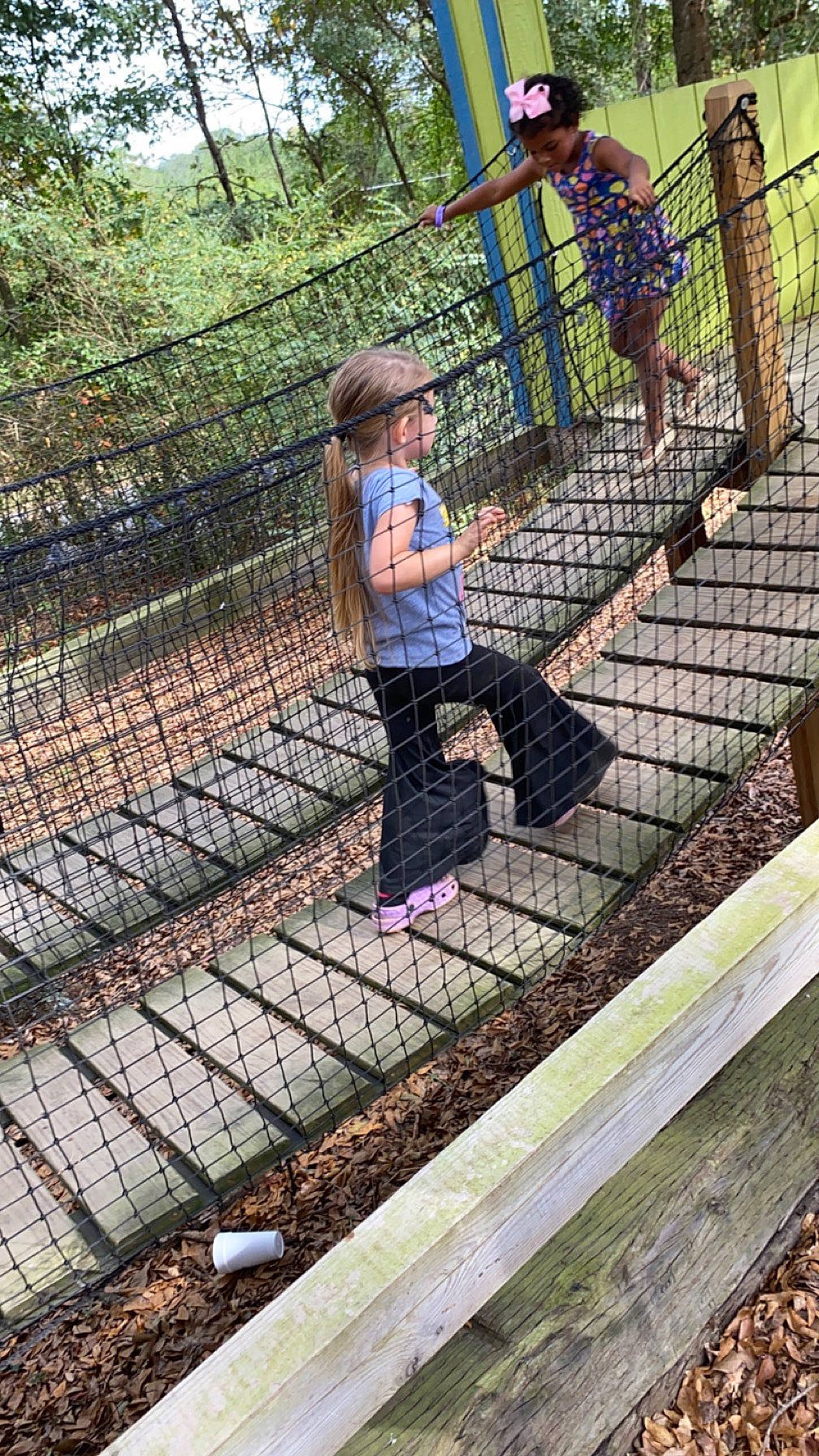 Melly is registered to the contest to win money with this photo: chain_link_fencing, child, city, composite_material, fence, fun, leg, leisure, mesh, net, person, plant, play, recreation, shorts, soil, t_shirt, toddler, tree, wire_fencing