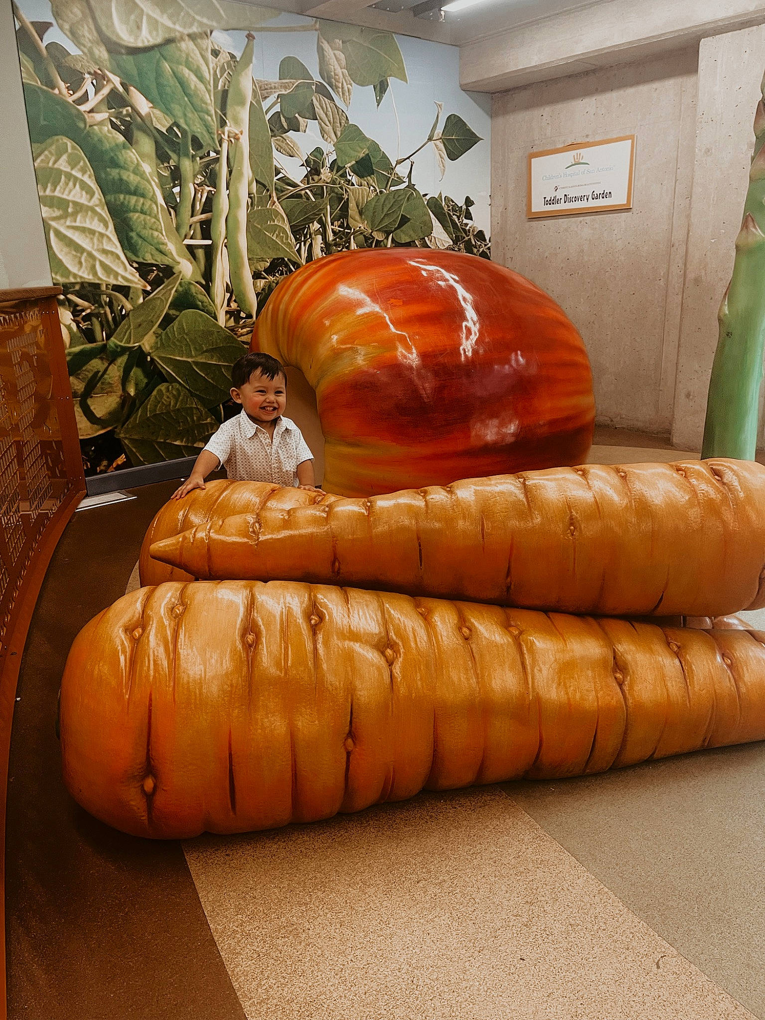 Koda is registered to the contest to win money with this photo: baked_goods, calabaza, comfort, couch, cuisine, dish, door, flooring, food, houseplant, ingredient, joy, natural_foods, person, picture_frame, plant, produce, staple_food, studio_couch, vegetable