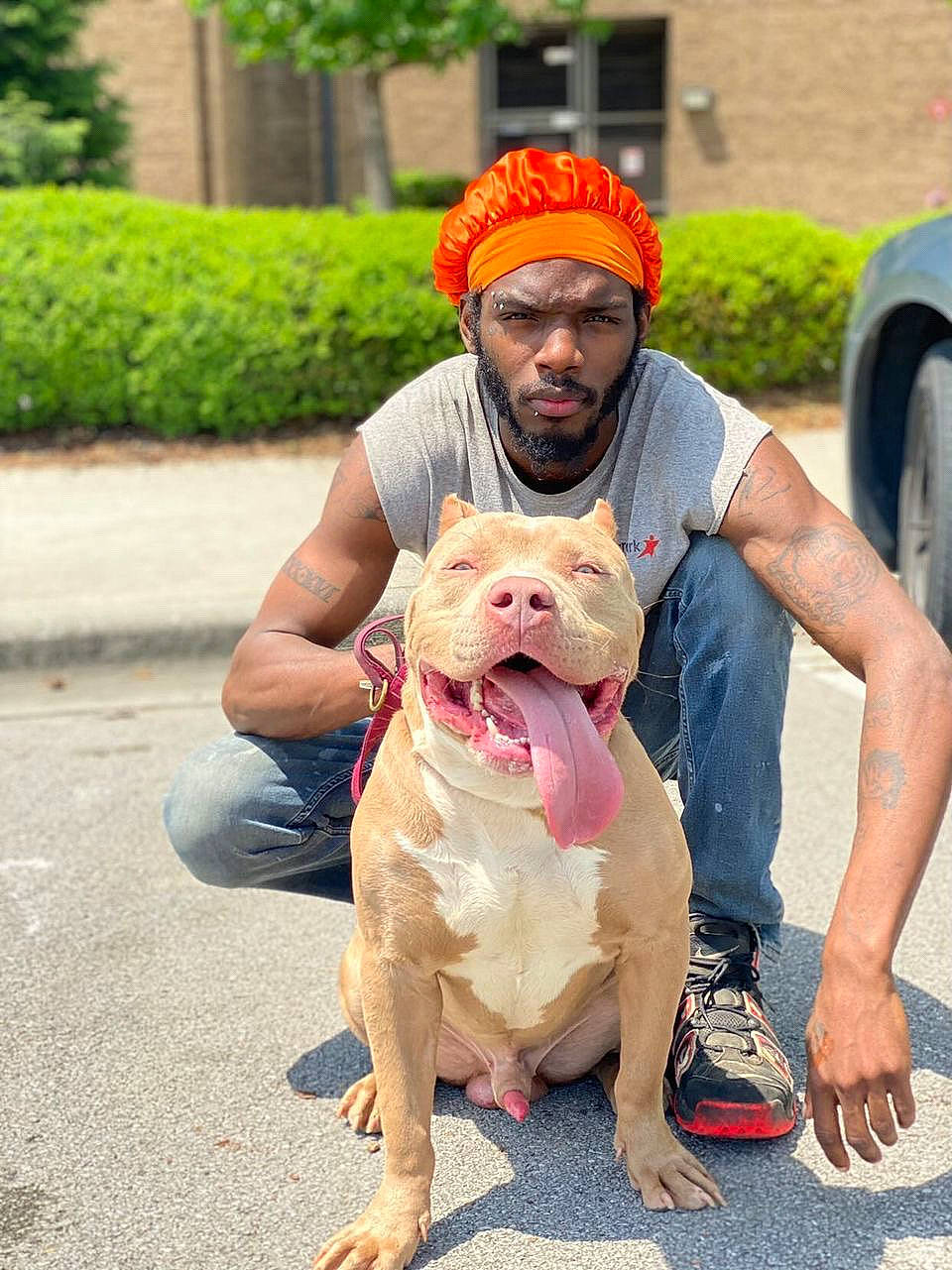 Moose joined the competition — help win amazing prizes! baseball_cap, beard, cap, carnivore, companion_dog, dog, dog_breed, fawn, grass, hat, molosser, plant, sitting, sneakers, snout, sporting_group, sunglasses, tire, wheel, working_animal