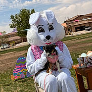 Sadie is registered to the contest to win money with this photo: person_in_costume, easter_bunny, dog, small_dog, pink_outfit, outdoor, grass, spring, easter_eggs, decorations, chair, sky, clouds, tree, house, table, festive, holiday, celebration, leash