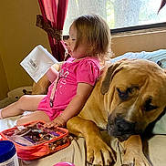 Bailey is registered to the contest to win money with this photo: toddler, dog, bed, indoor, window, curtain, pink_clothing, pacifier, toy, remote_control, jar, calm, relaxed, child, pet, animal, home, natural_light, curly_hair, sleepy_dog