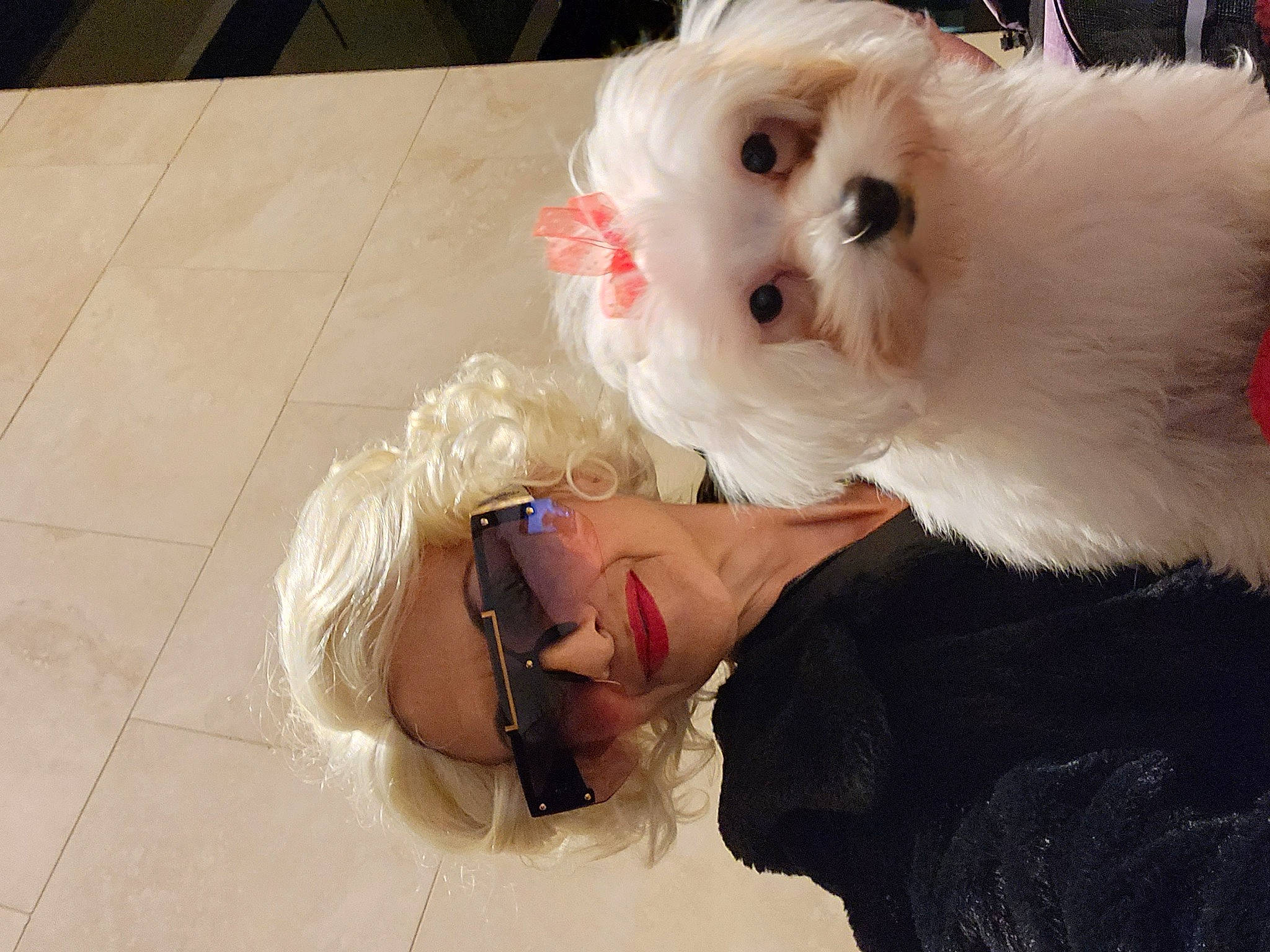 Pearl joined the competition — help win amazing prizes! bow_tie, carnivore, companion_dog, dog, dog_breed, dog_clothes, dog_supply, fashion_accessory, flooring, fur, gesture, non_sporting_group, small_terrier, sunglasses, terrier, toy, toy_dog