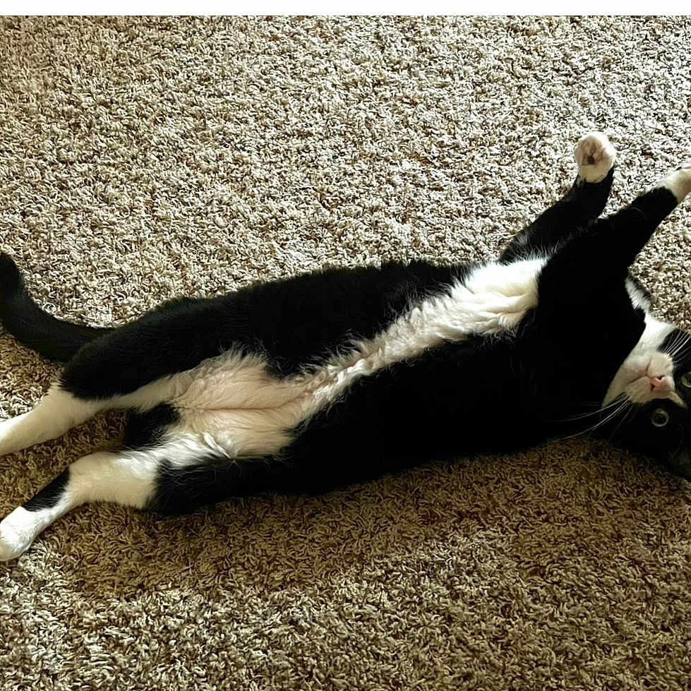 Leni
