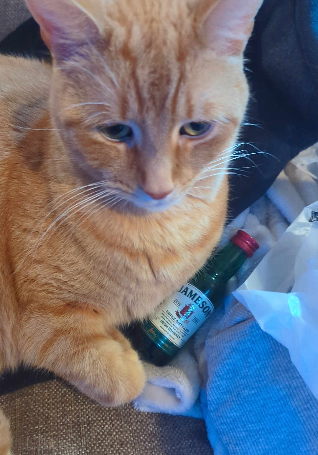 Simba