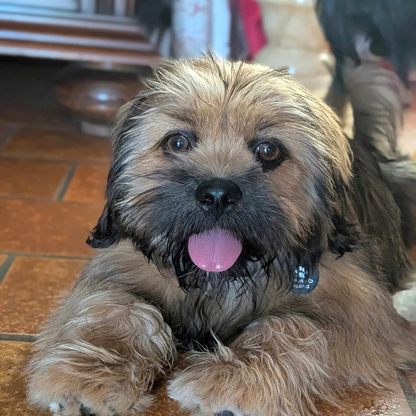 Baïko