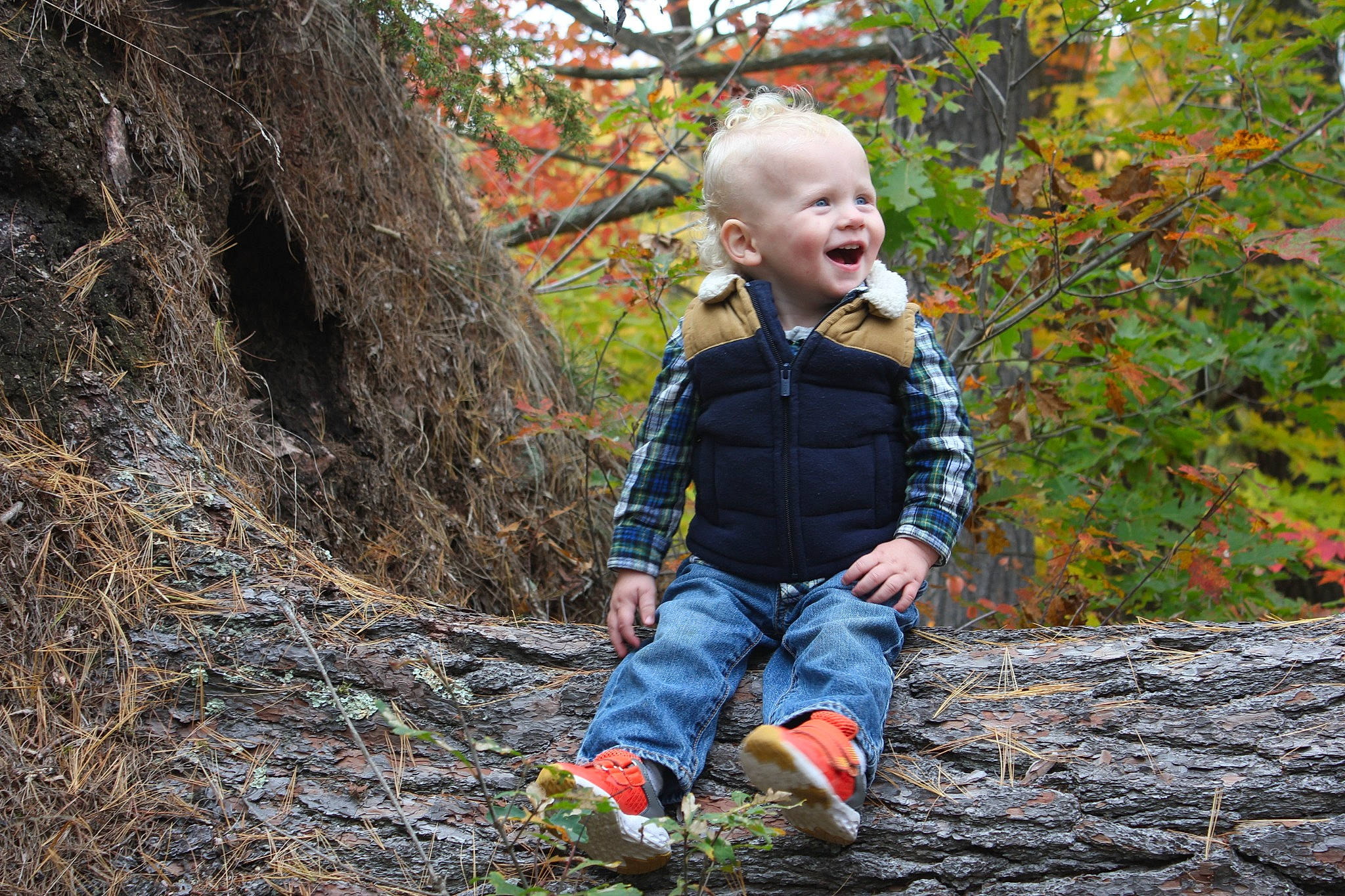 Henry joined the competition — help win amazing prizes! baby, baby_toddler_clothing, child, deciduous, electric_blue, forest, grass, happy, leaf, leisure, natural_landscape, people_in_nature, person, smile, soil, toddler, trunk, twig, wood, woodland