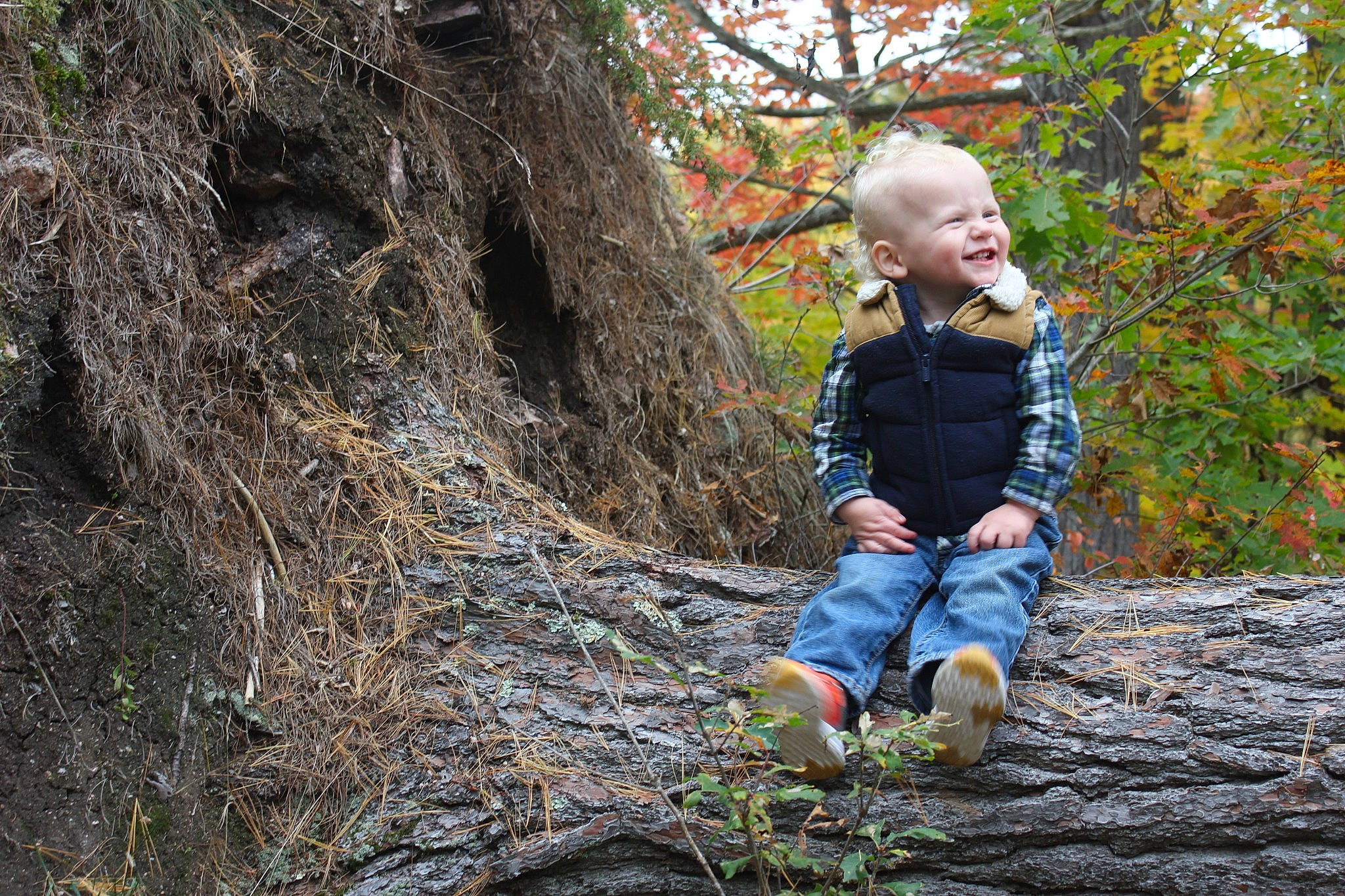 Henry joined the competition — help win amazing prizes! baby_toddler_clothing, deciduous, electric_blue, eye, forest, grass, happy, leisure, people_in_nature, person, plant, recreation, rock, smile, soil, toddler, tree, trunk, twig, wood