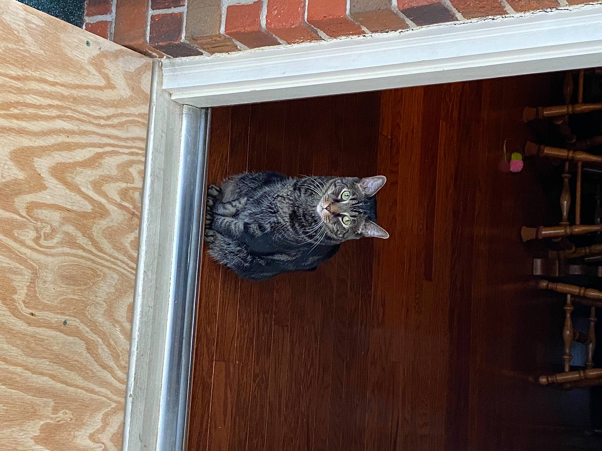 Alex is registered to the contest to win money with this photo: brickwork, brown, building, building_material, ceiling, composite_material, facade, fixture, flooring, hardwood, pattern, plank, plywood, rectangle, sash_window, siding, varnish, window, wood, wood_stain