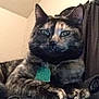 Symone is registered to the contest to win money with this photo: