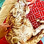 animal, belly_up, blanket, cat, comfort, cozy, cute, feline, fur, hand, indoor, orange_tabby, patterned_blanket, paw, pet, relaxed, resting, sleeping, soft, tail