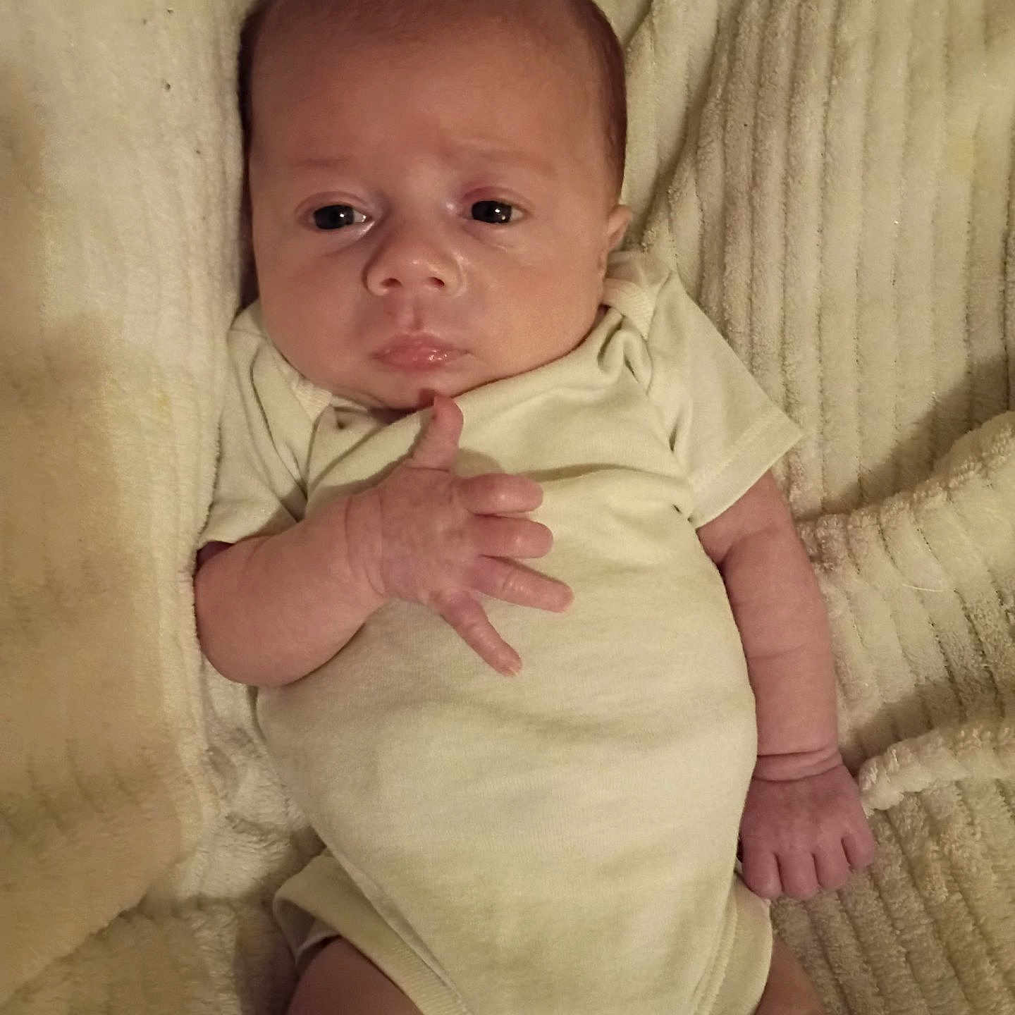 Lorenzo